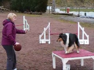 agility