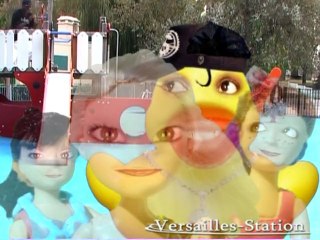 Dulcy - Ce lascar c est un vrai canard