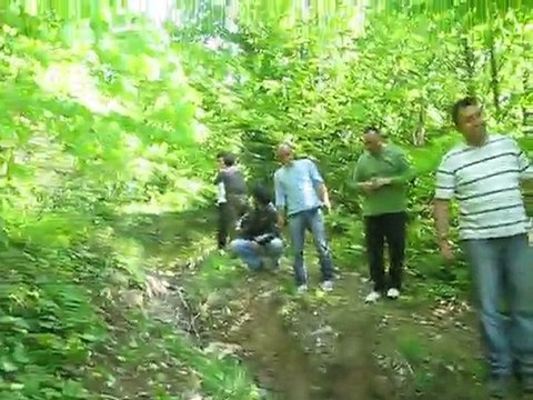 Bir Yaz günü Yayla Orman Gezisi