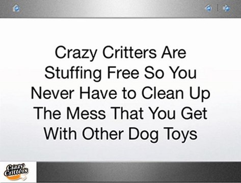 Crazy Critters - Dog Toy Review