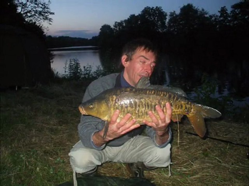 Session Mayennaise