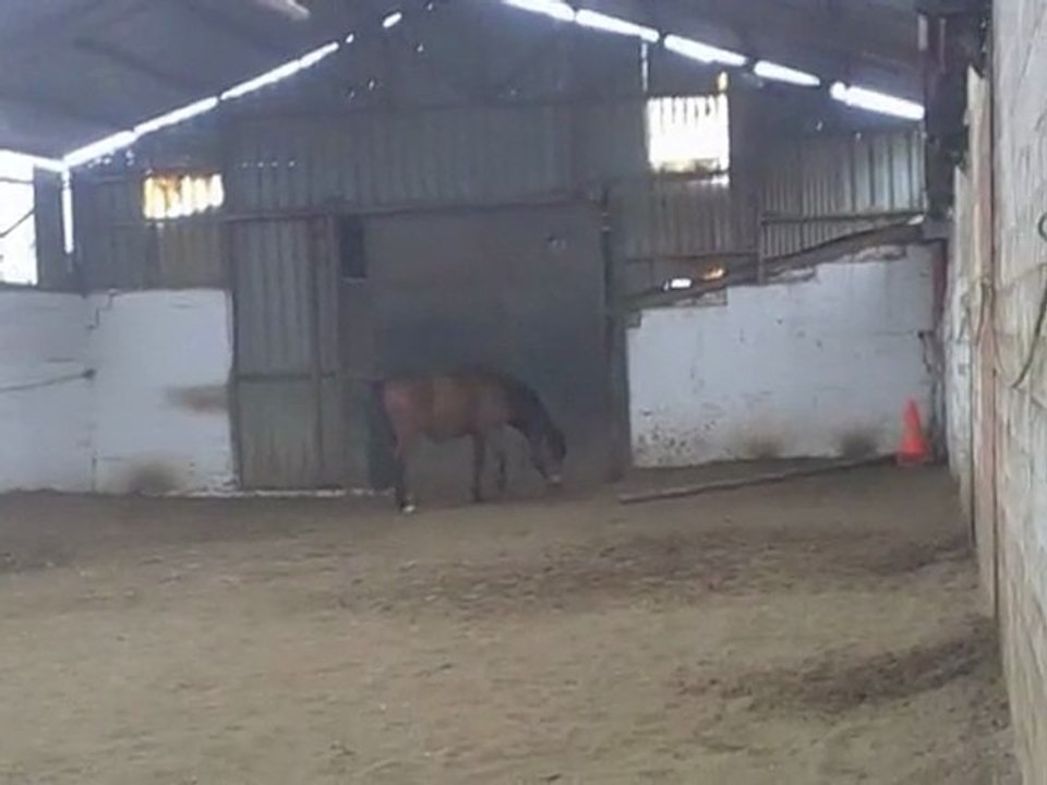 je l aime très fort mon balou