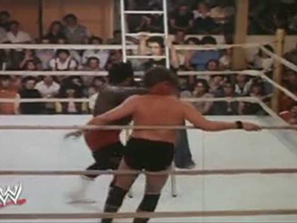 Big Daddy Ritter (JYD) vs. Jake Roberts (Ladder Match) - video Dailymotion