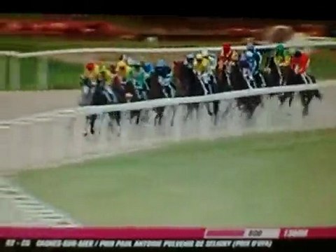 PINK CANDIE à Cagnes sur Mer le 14/02/2010