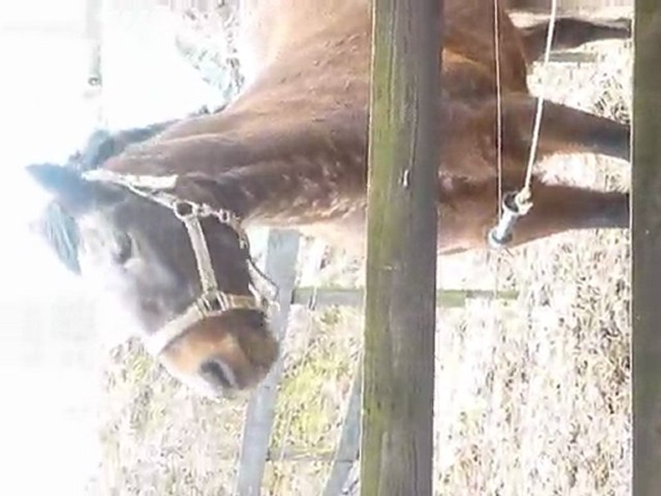 quand merin en a rien a foutre