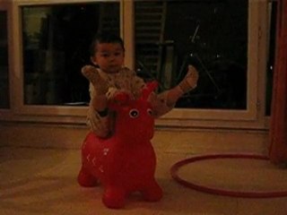 Louis 2010 01 16 006 fait du cheval