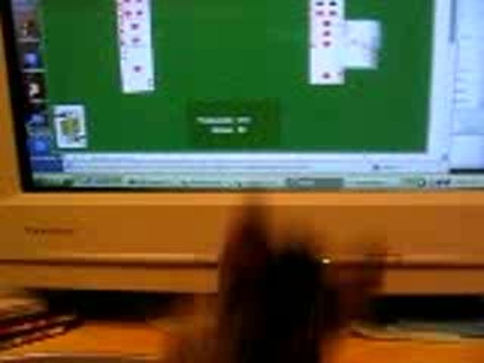 Cat Playing Cards