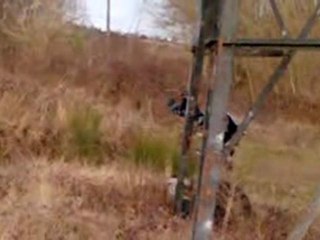 mont st sulpice 21-02-10