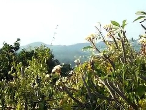 SDC17421: ko pha ngan 2010