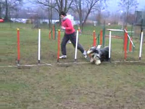 entrainement de janvier 2010