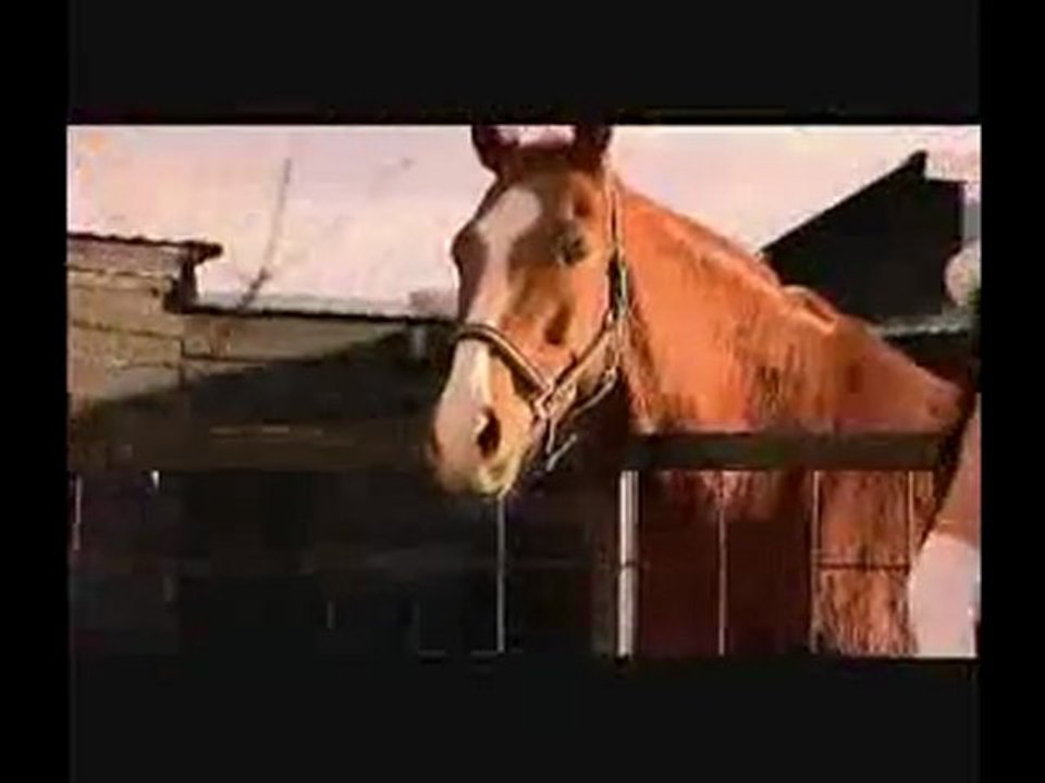 Amela Husovic - Sexy bomba **official video clip**