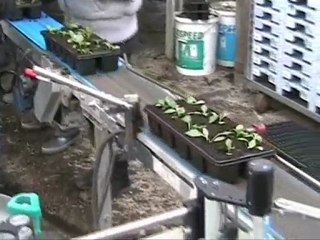 APPLICATION BARQUETTES HORTICULTEURS