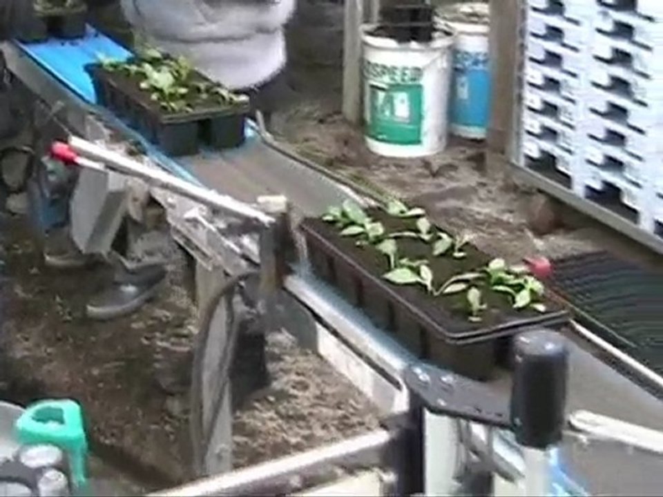 APPLICATION BARQUETTES HORTICULTEURS