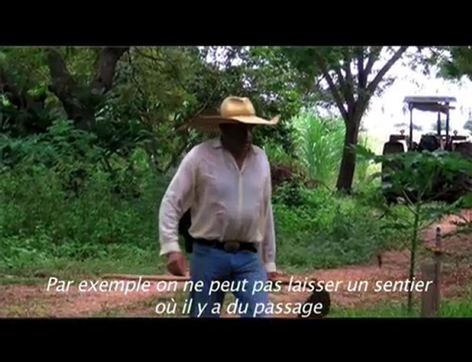 Bonito - Qu'est-ce que l'impact minimum?