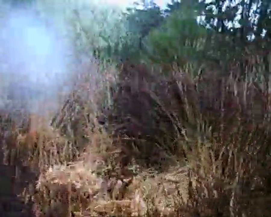 Sortie VTT Dimanche 21 02 2010