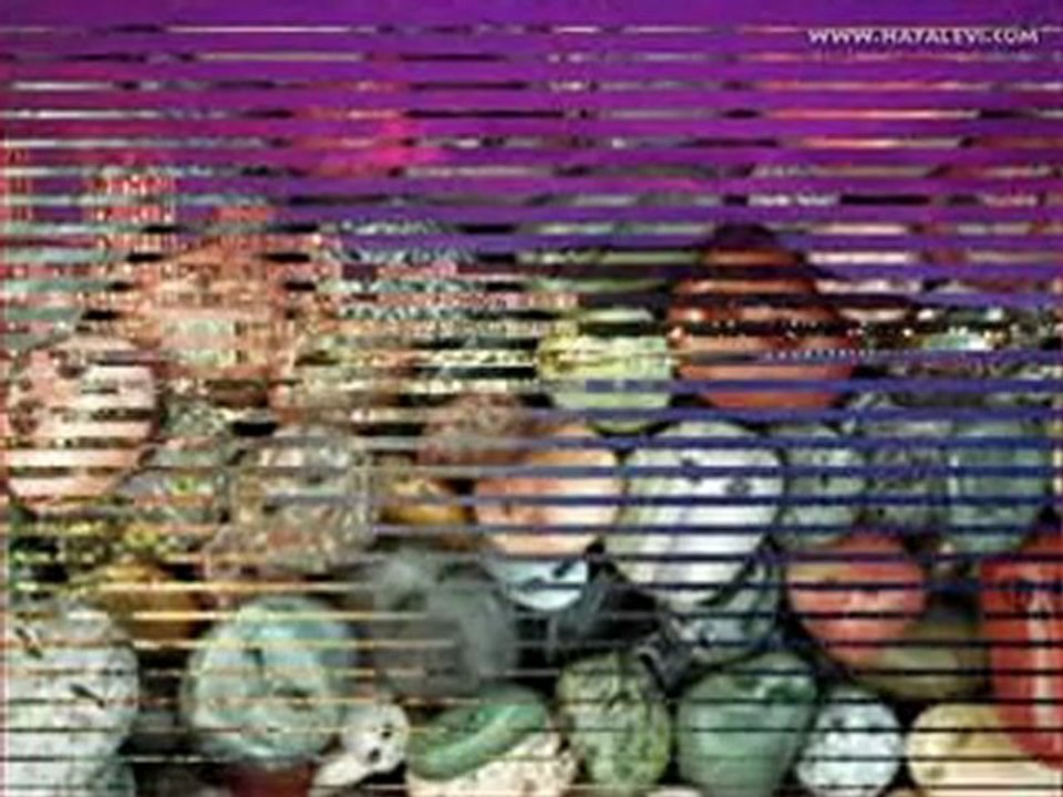 Eşref Ziya Aşkın Aşkı