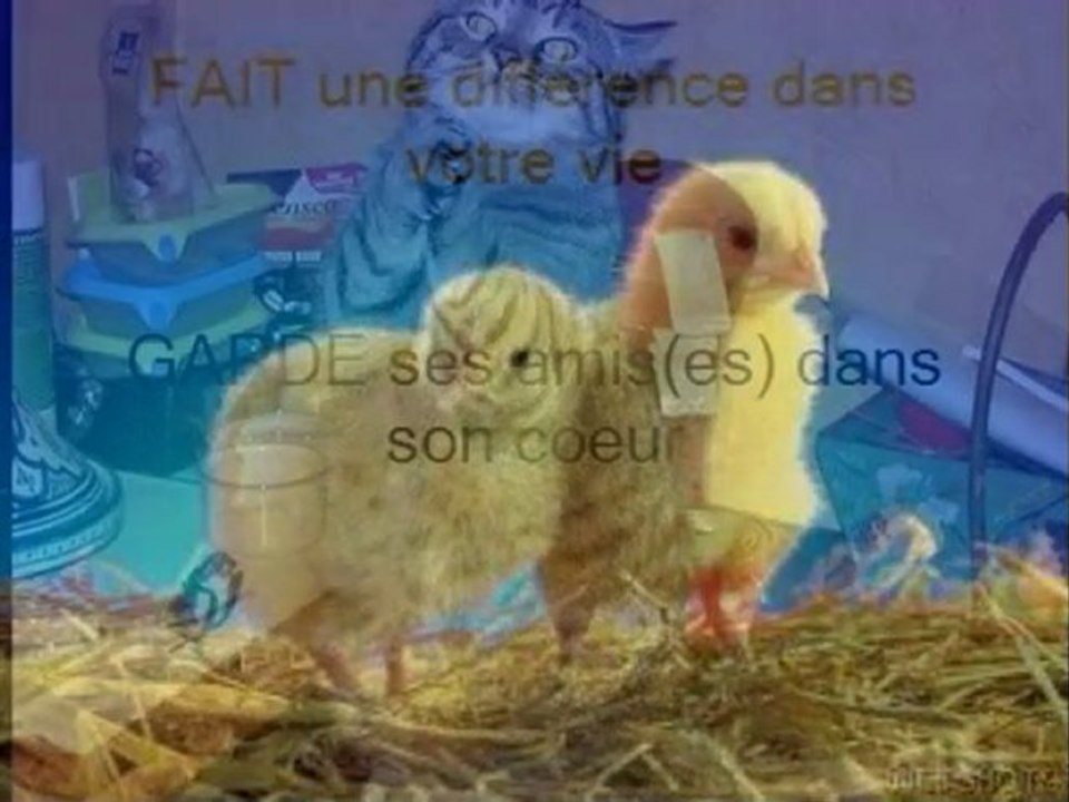 Pour tous les fans et les amis(es) de Raff