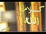 القرآن الكريم سر نجاح الدكتور محمد الهاشمي