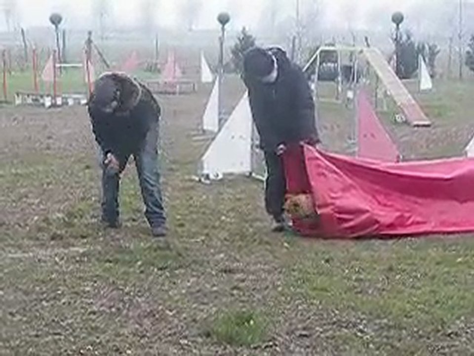 Reprise de l'agility 2