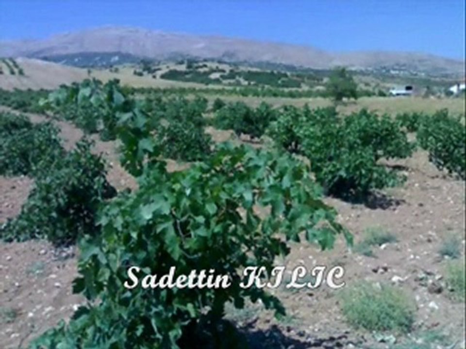 MÜĞREN KÖYÜ Elmalı  / Antalya