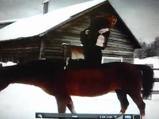 Niaiseries avec ma jument !