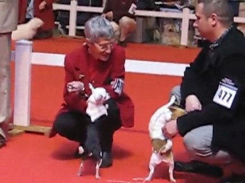 expo Bourges le 20 février 2010 !!!