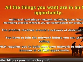 Make Money With an MLM Opportunity