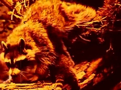 Steps Towards Maturity and Health