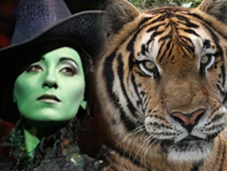 WICKED TOUR of BIG CAT RESCUE