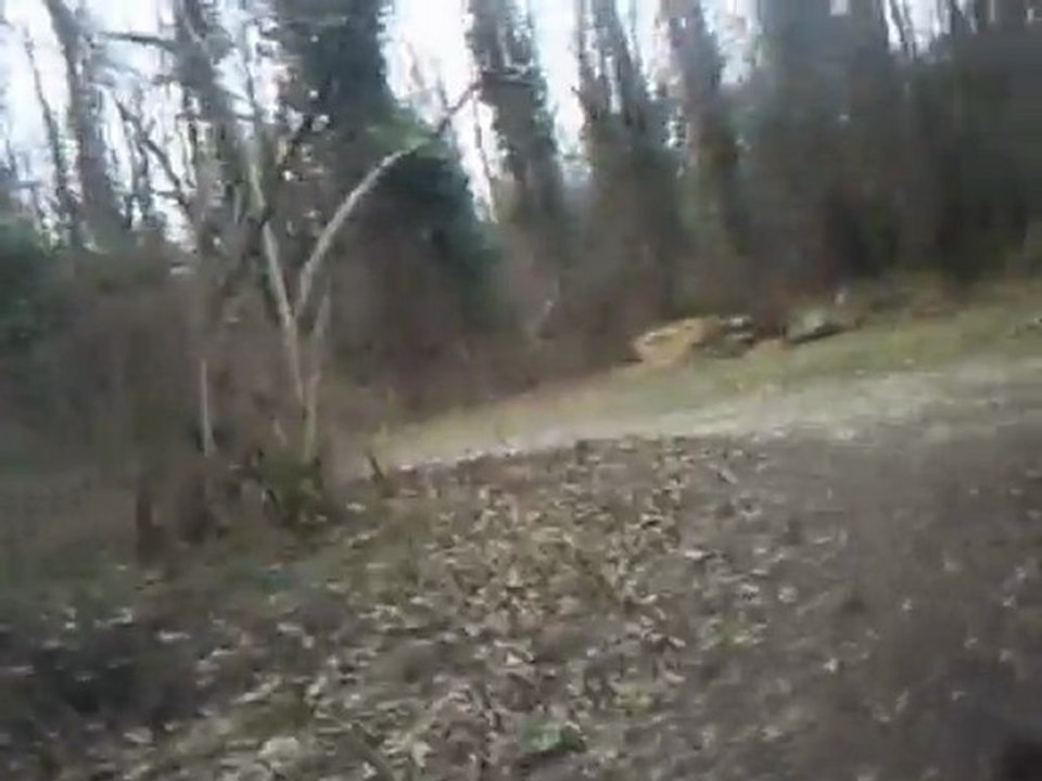 0220 Miribel