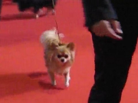 expo Bourges le 20 février 2010 !!!