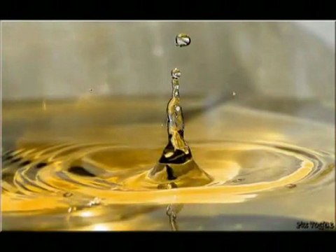 Sourate 1 La Fatiha récitée par Adel Rayanne