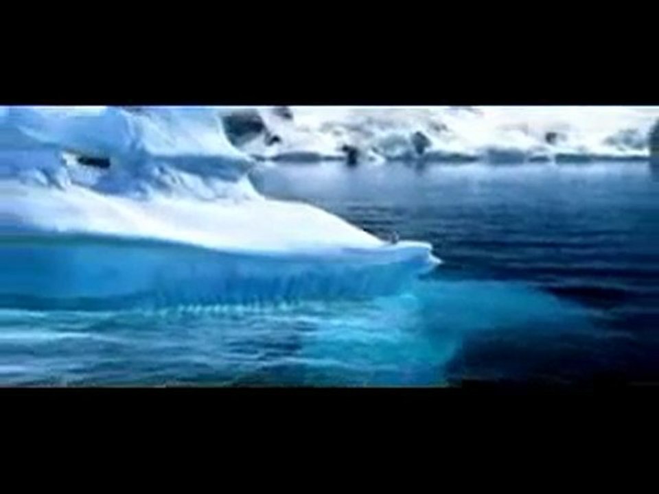 PENGUEN_PENGUIN_with Turkish Black Sea Song