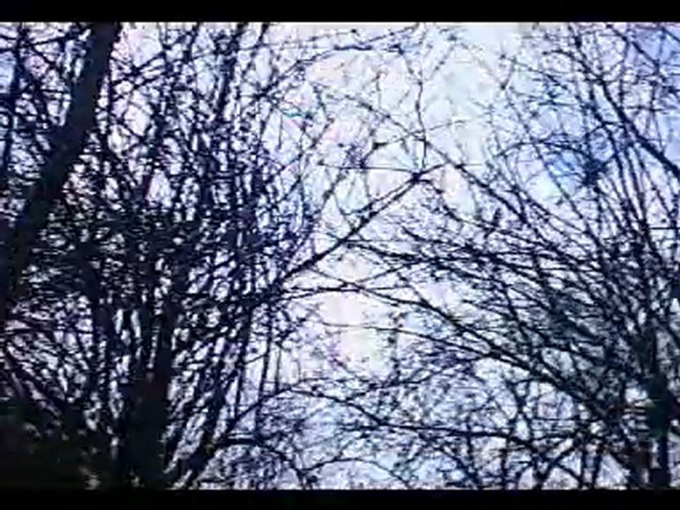ESCAUDOEUVRES -LA SCALDOBRIGIENNE
