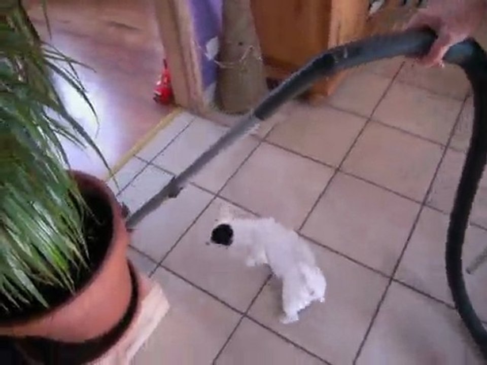 eden vs aspiro