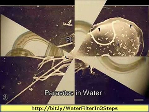 Camping Water Filter in 3 Easy Steps