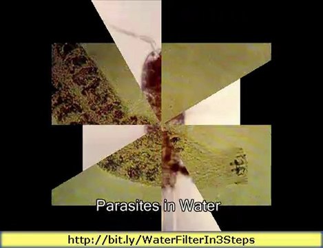 Best Multi Pure Water Filter