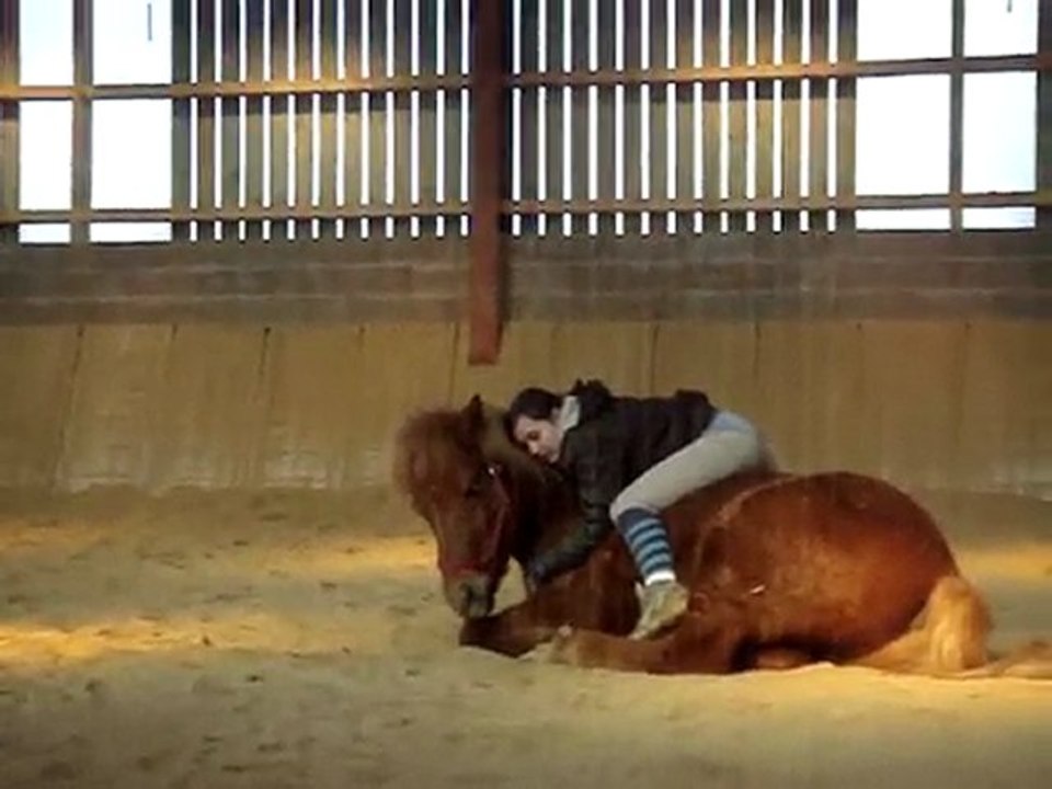 mattur plein de choses , fev 2010