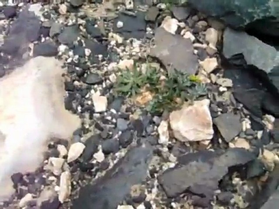 dedicace de Fuerteventura