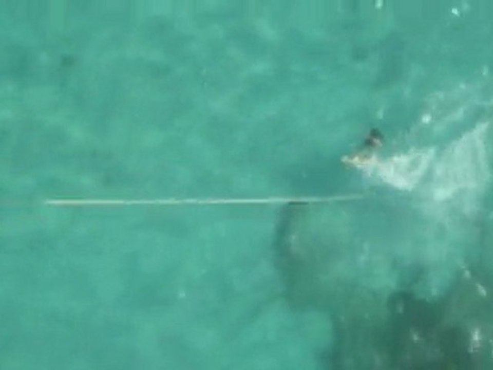 KITE capesterre
