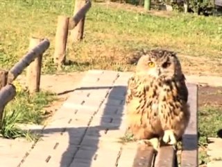 INTERCONTINENTAL ALMATY Discover