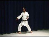 Kihon kata Learn Karate At Home