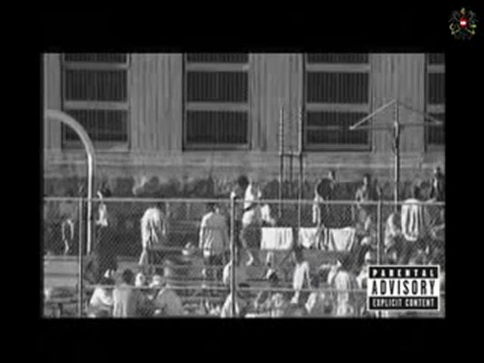 IHR VERDAMMTEN POSSER