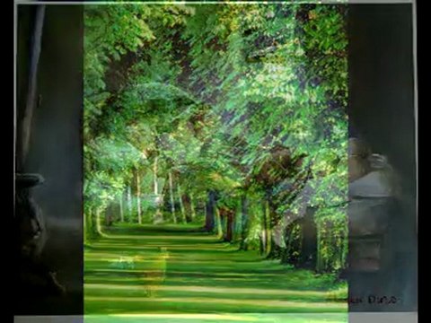 Nazım Hikmet - Yaşamaya Dair (Türkyılmaz Sarıkaya)