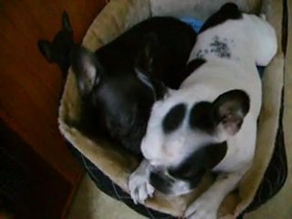 la toilette de baika