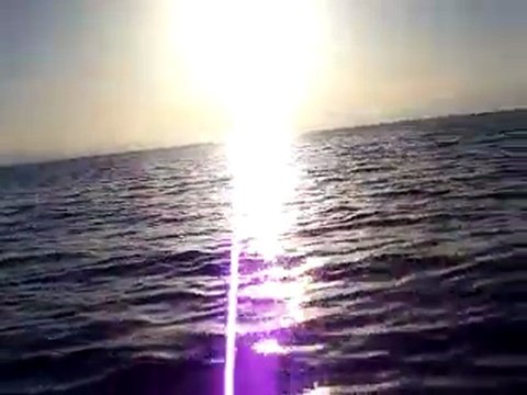 les dauphins qui nous suivent au retour du lagon bleu