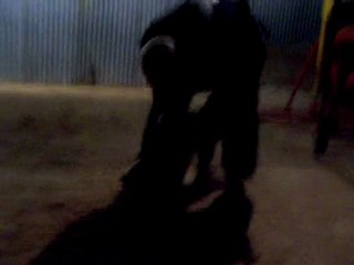 Eayos au mordant (avec des pro' )