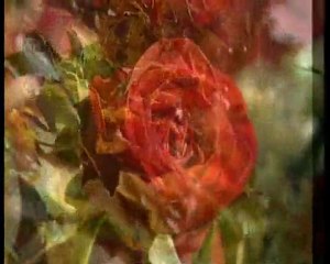 Mevlid Kandili Özel - 25 Şubat 2010