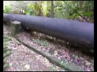 Tienmou Hiking in Taipei 100221