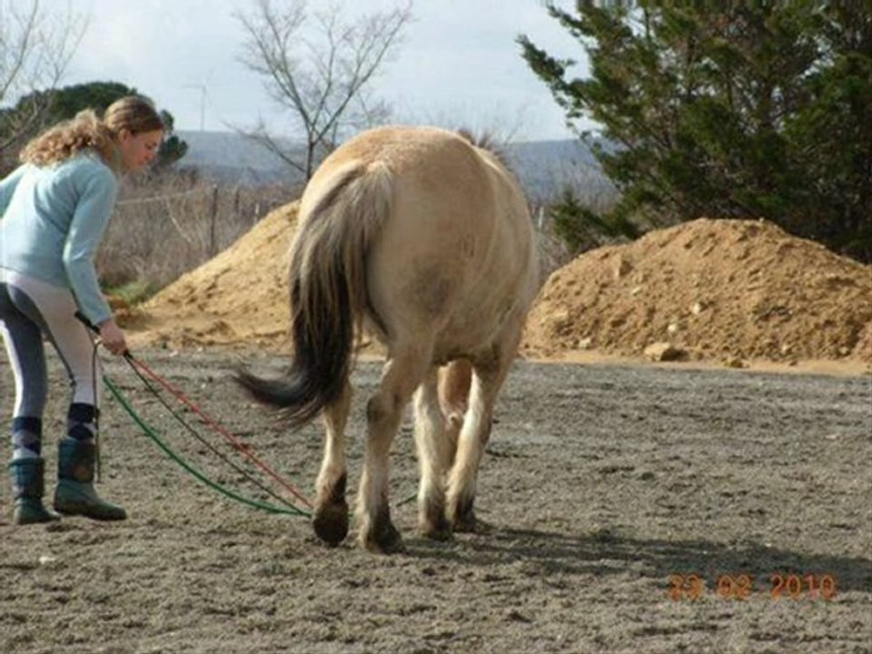 Février photos et vidéos